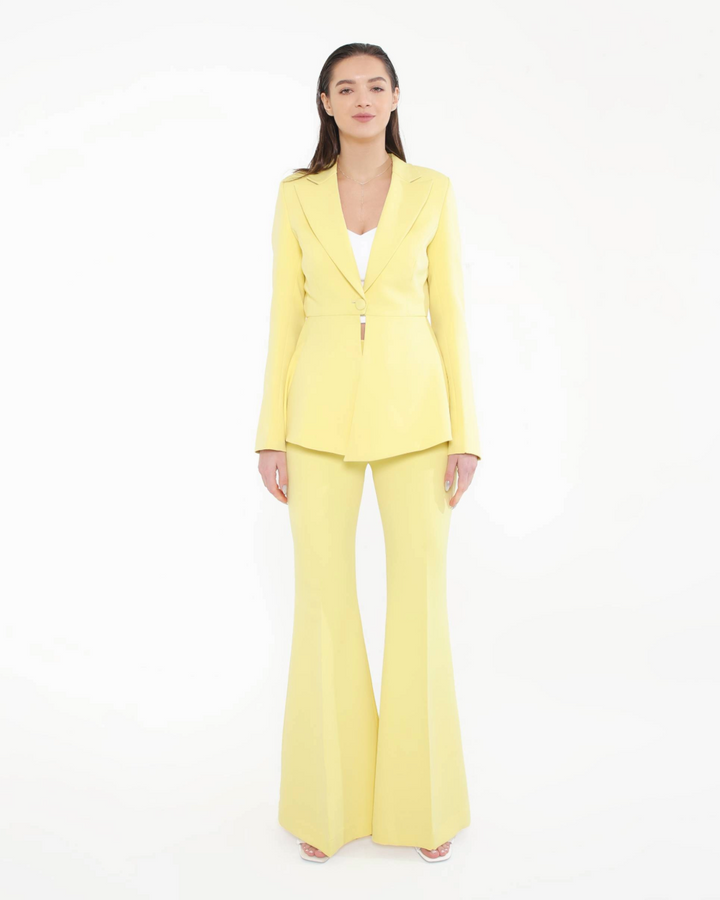 Sly Lemon Blazer Set
