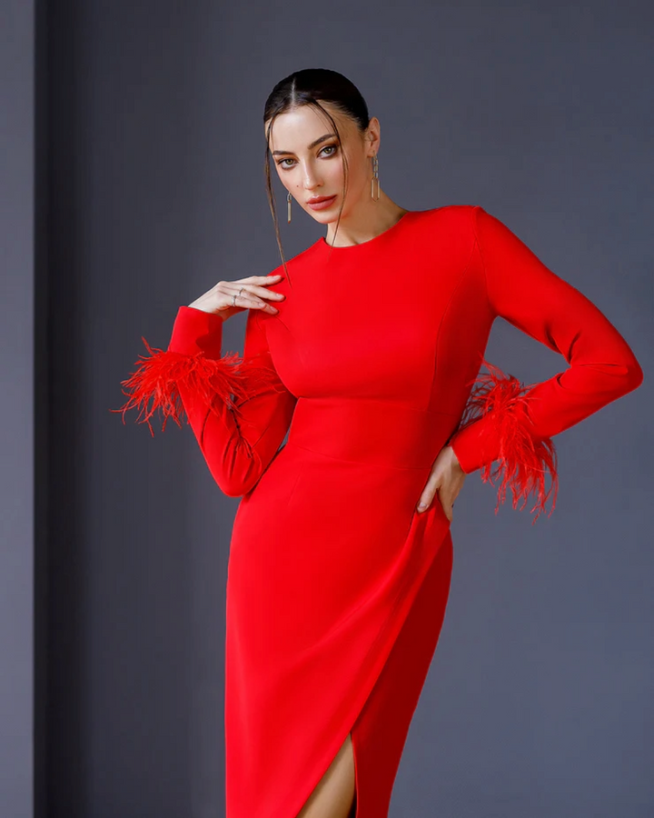 Casey Red Feather Sleeve Midi Dress